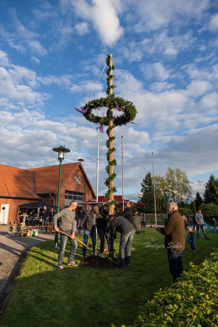 Bild 75 - Maibaum